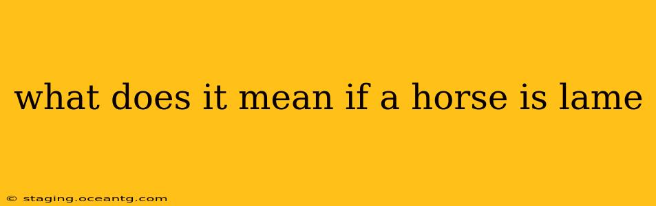 what does it mean if a horse is lame