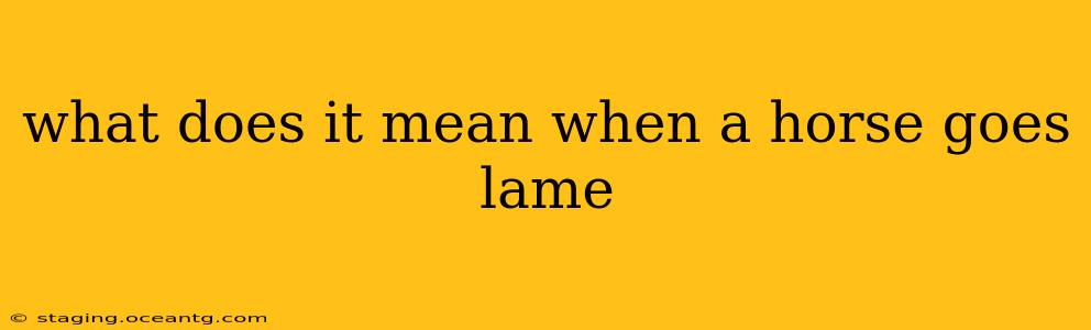 what does it mean when a horse goes lame