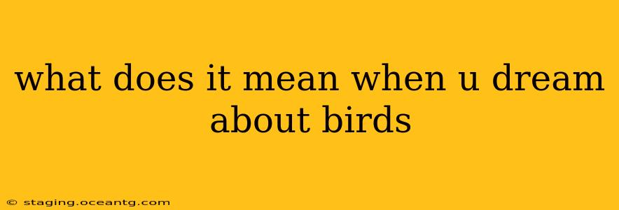 what does it mean when u dream about birds