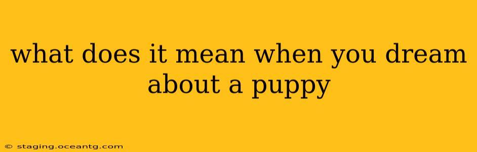 what does it mean when you dream about a puppy