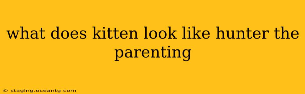 what does kitten look like hunter the parenting