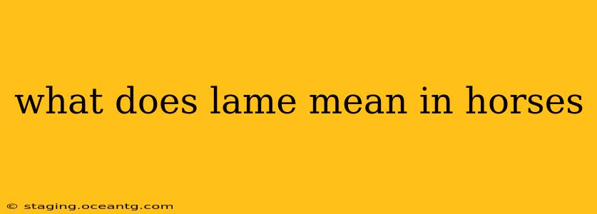 what does lame mean in horses
