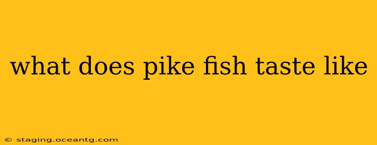 what does pike fish taste like