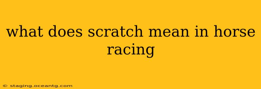 what does scratch mean in horse racing