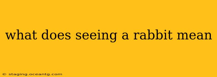 what does seeing a rabbit mean
