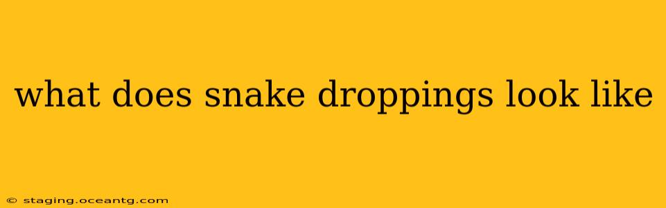 what does snake droppings look like