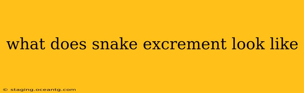 what does snake excrement look like