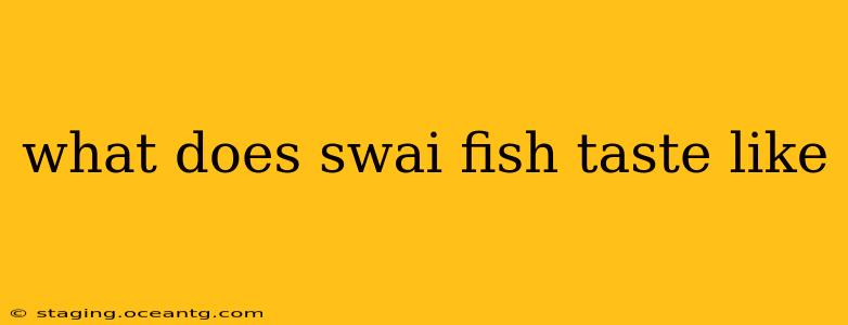 what does swai fish taste like