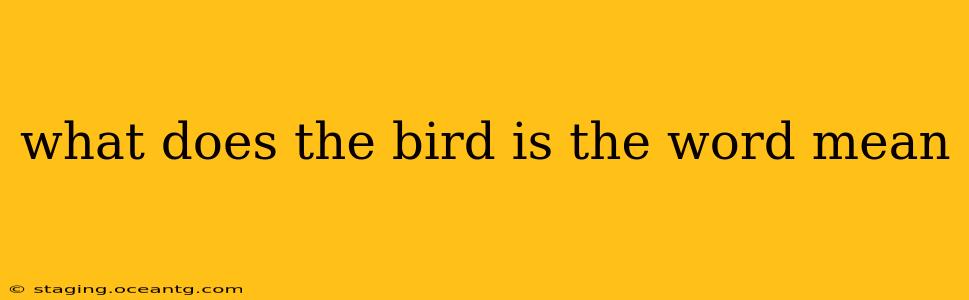what does the bird is the word mean
