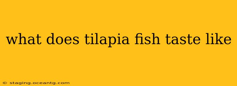what does tilapia fish taste like