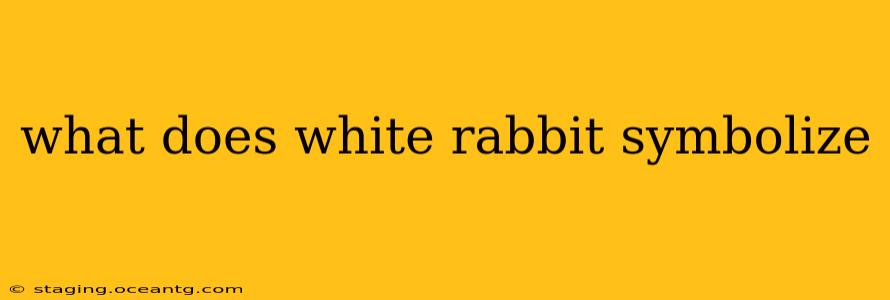 what does white rabbit symbolize
