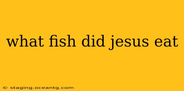 what fish did jesus eat