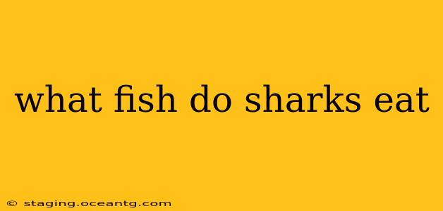 what fish do sharks eat