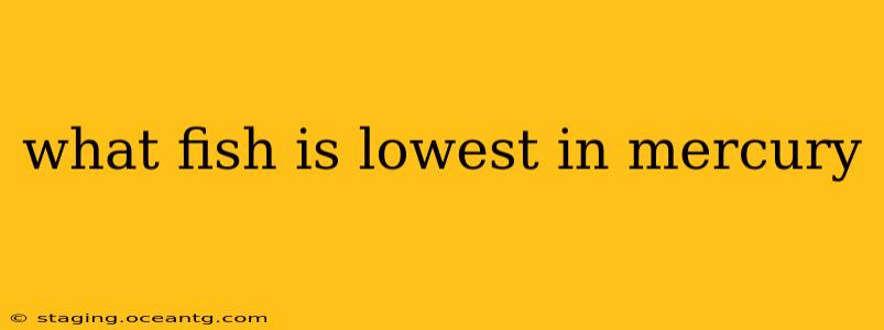 what fish is lowest in mercury