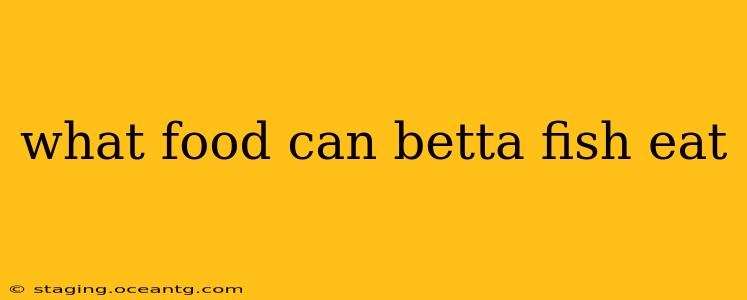 what food can betta fish eat