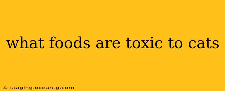 what foods are toxic to cats