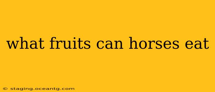 what fruits can horses eat