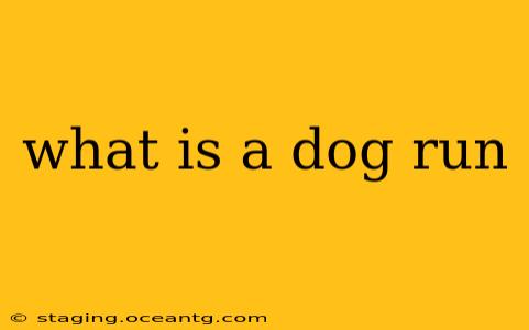 what is a dog run