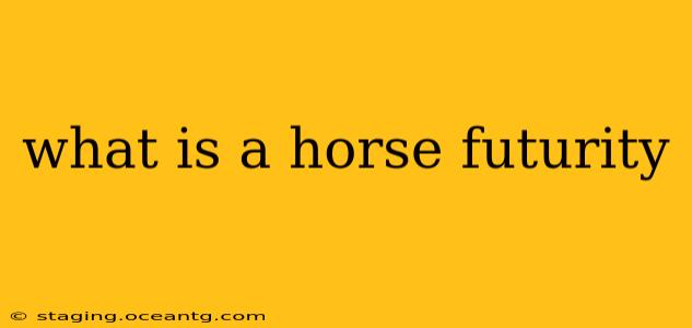 what is a horse futurity