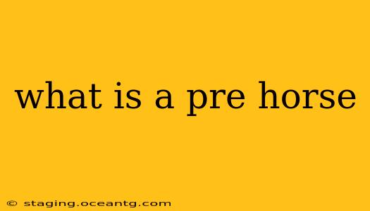 what is a pre horse