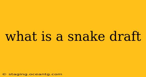 what is a snake draft