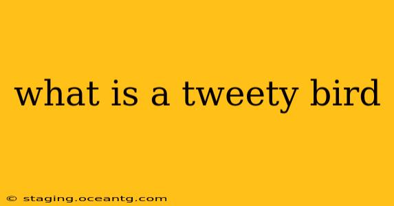 what is a tweety bird