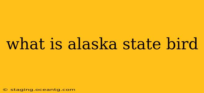 what is alaska state bird