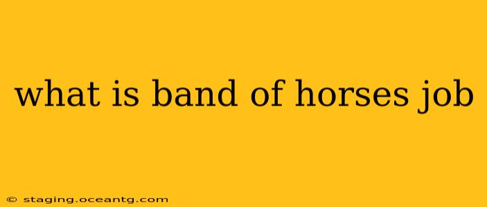 what is band of horses job