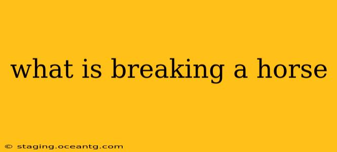 what is breaking a horse