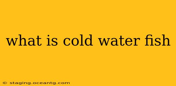 what is cold water fish