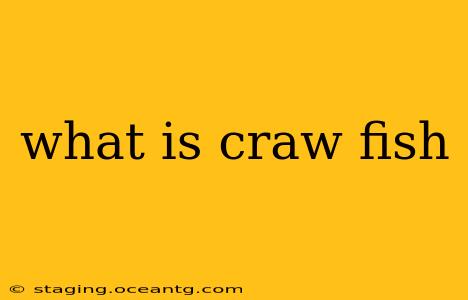 what is craw fish