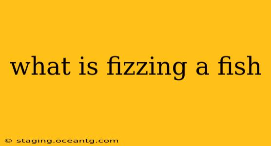 what is fizzing a fish