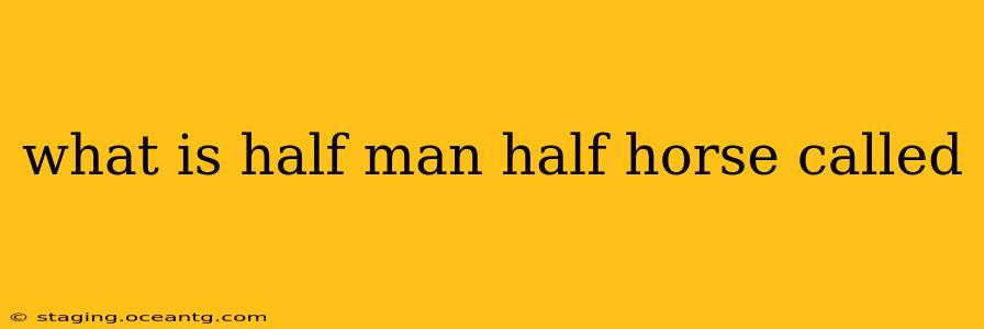 what is half man half horse called