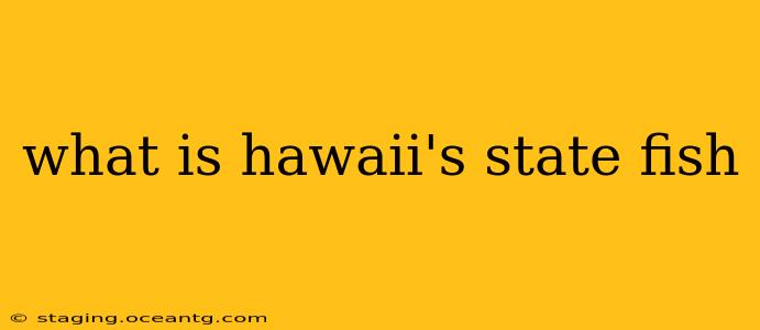 what is hawaii's state fish