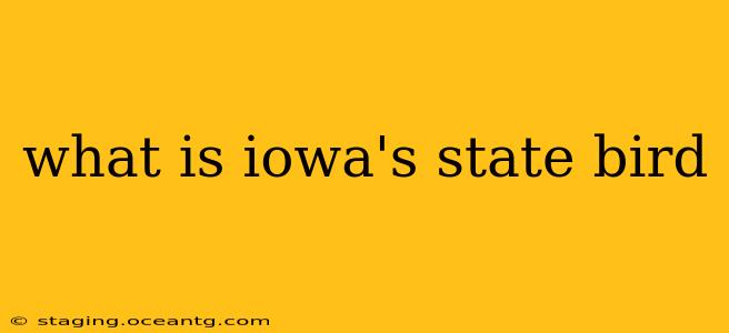 what is iowa's state bird
