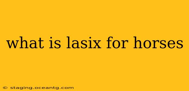 what is lasix for horses