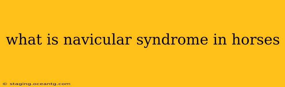 what is navicular syndrome in horses