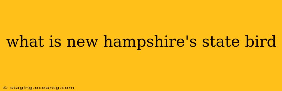 what is new hampshire's state bird