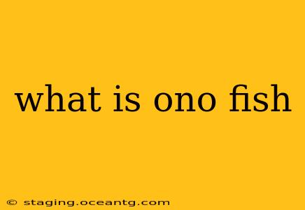 what is ono fish