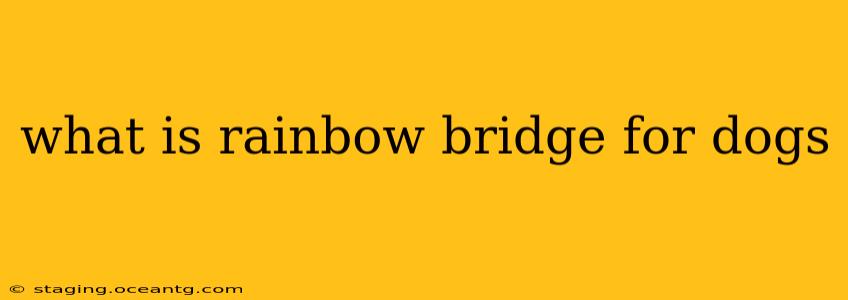 what is rainbow bridge for dogs