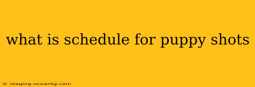 what is schedule for puppy shots