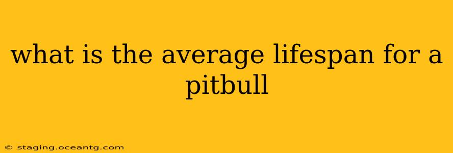 what is the average lifespan for a pitbull