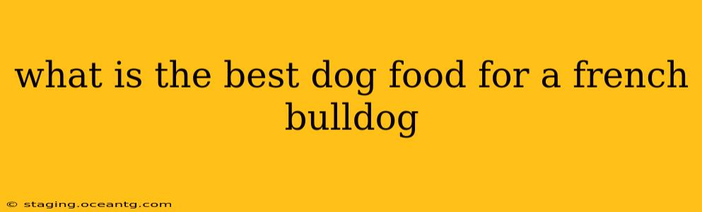 what is the best dog food for a french bulldog