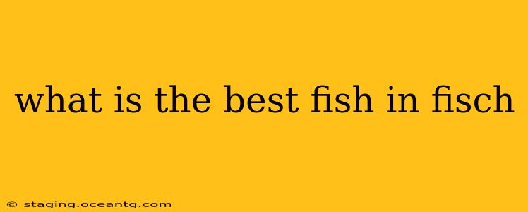 what is the best fish in fisch
