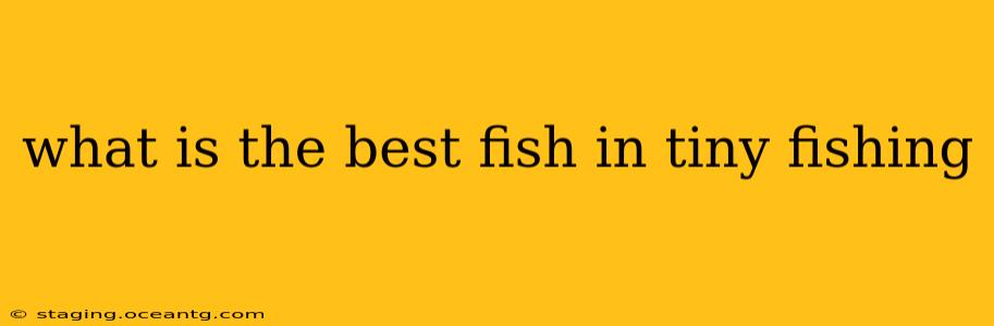 what is the best fish in tiny fishing