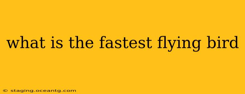 what is the fastest flying bird