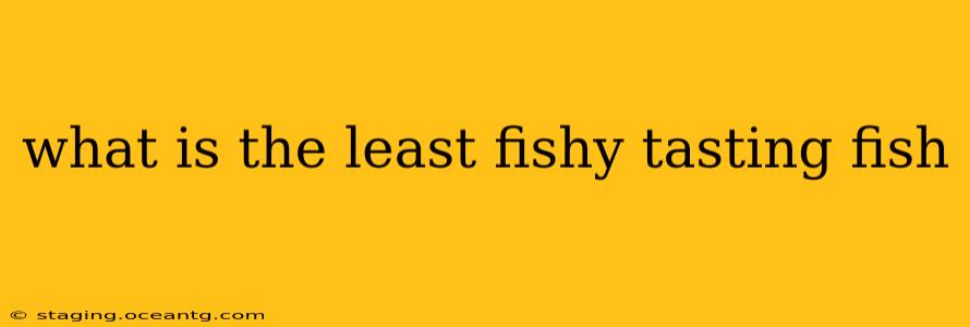 what is the least fishy tasting fish