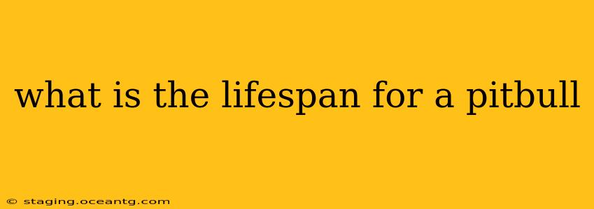 what is the lifespan for a pitbull