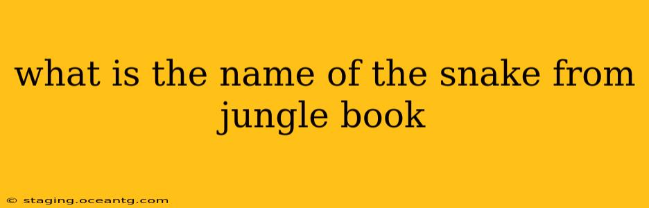 what is the name of the snake from jungle book