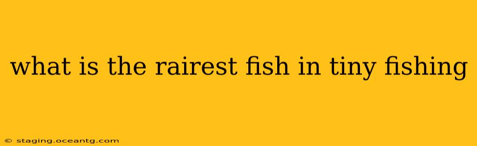 what is the rairest fish in tiny fishing